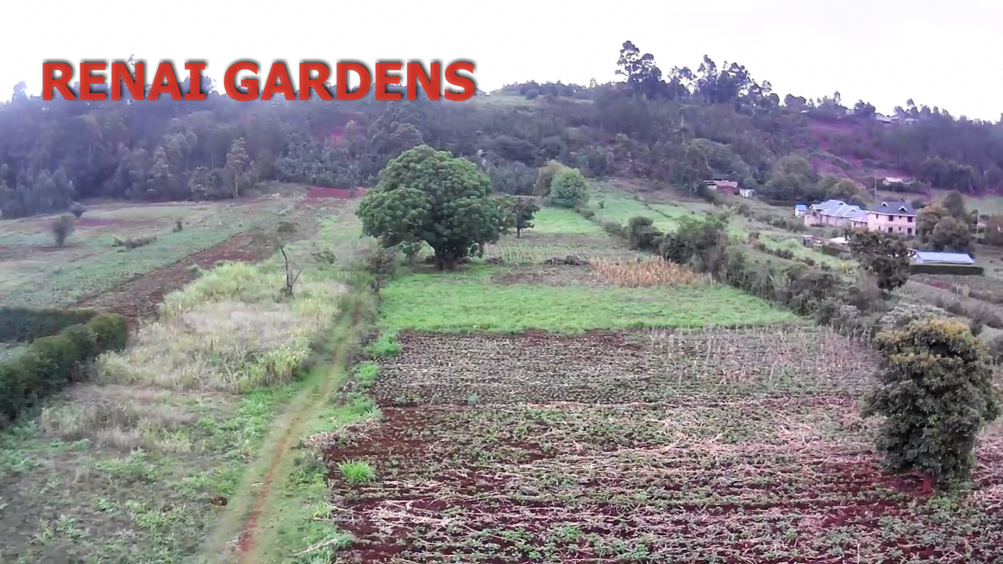 Renai Gardens – Rironi